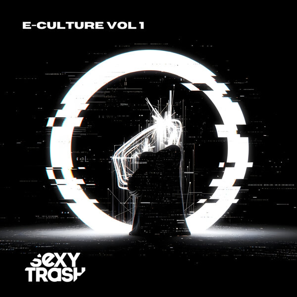 e-culture-various-artists-album