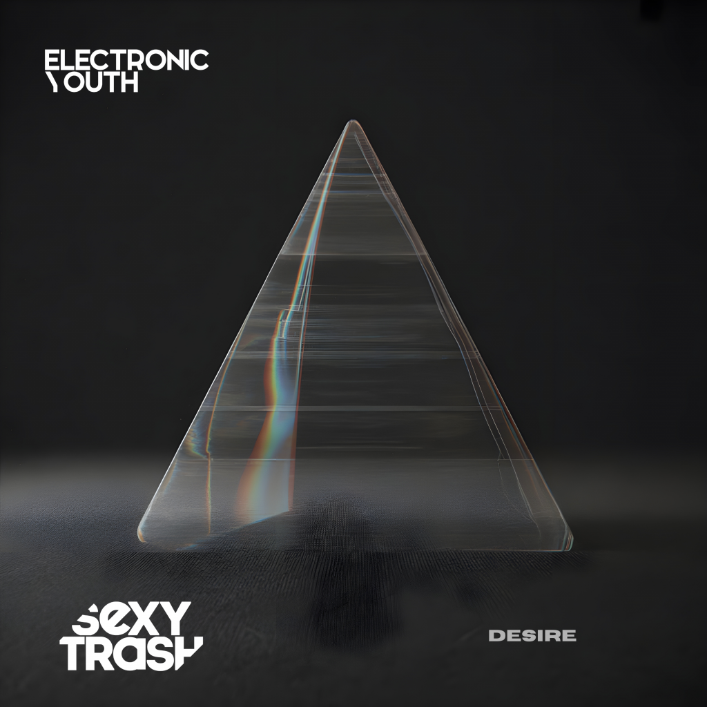 Desire_Electronic_Youth_SexyTrashRecords