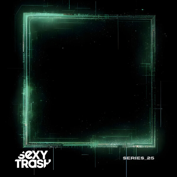 Series_25_Various Artists_Sexy Trash Records