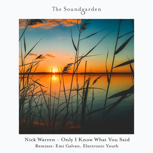 Nick Warren - Only I Know What You Said